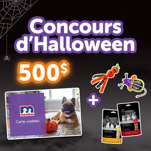 Concours D’HALLOWEEN MONDOU!