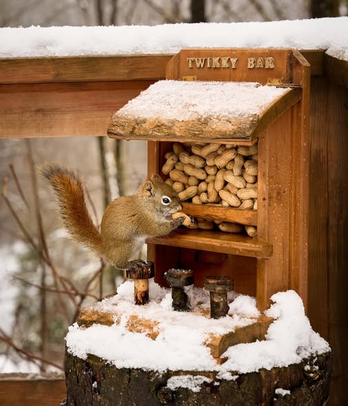 Concours Les deux loutres - Gagnez un séjour inoubliable de 2 nuits dans notre magnifique chalet!