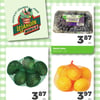 Image de la Promotion Circulaire Jardin Mobile