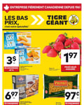 Circulaire Tigre Géant