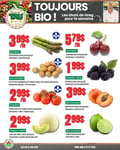 Circulaire TAU Marché d'alimentation Naturelle - Biologique