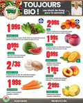Circulaire TAU Marché d'alimentation Naturelle - Biologique
