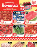 Circulaire Bonanza