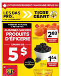 Circulaire Tigre Géant