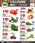 Circulaire TAU Marché d'alimentation Naturelle - Biologique