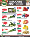 Circulaire TAU Marché d'alimentation Naturelle - Biologique