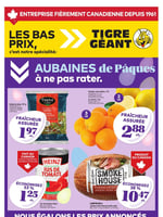 Circulaire Tigre Géant