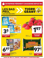 Circulaire Tigre Géant