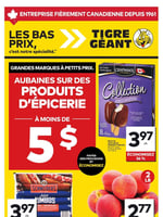 Circulaire Tigre Géant
