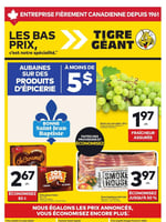 Circulaire Tigre Géant