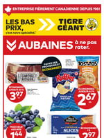 Circulaire Tigre Géant