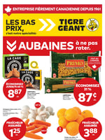 Circulaire Tigre Géant
