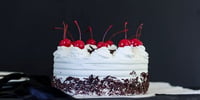 Photo de la Recette: Bûche de Noël Forêt Noire