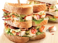 Photo de la Recette: Club Sandwich au Homard Mayonnaise Limette et Avocat