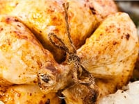 Photo de la Recette: Dinde Farcie aux Airelles et aux Abricots
