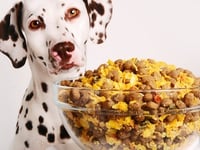 Photo de la Recette: Comment Fabriquer Soi Même la Nourriture pour Chiens