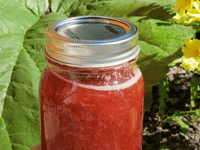 Photo de la Recette: Confiture Fraise & Rhubarbe