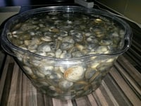 Photo de la Recette: Cuisson des Coques