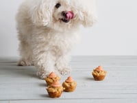 Photo de la Recette: CUPCAKES POUR CHIENS AU POULET, AUX CAROTTES, À LA BANANE & GLAÇAGE AUX ARACHIDES