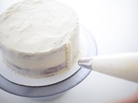 Photo de la Recette: Gâteau à la Crème Vanillée