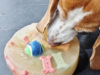Photo de la Recette: Gâteau Surprise Glacé pour Chien