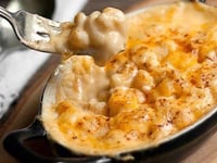 Photo de la Recette: Gratin de Pâtes Poulet Béchamel