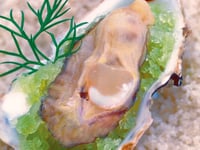 Photo de la Recette: Huîtres en Granité de Pomme Verte
