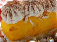 Photo de la Recette: Mini Bûche Glacée à la Mangue