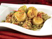 Photo de la Recette: Pétoncles Grillés sur Lit de Lentilles