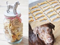 Photo de la Recette: Biscuits pour Chiens Maison