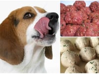 Photo de la Recette: BISCUITS POUR VOTRE CHIEN