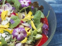 Photo de la Recette: Salade de Fleurs