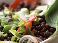 Photo de la Recette: Salade de Lentilles à L'italienne