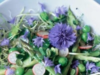 Photo de la Recette: Salade Fraîcheur à la Fleur de Bleuet
