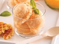 Photo de la Recette: Sorbet au Cantaloup et Lait de Coco