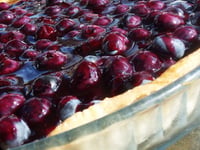 Photo de la Recette: Tarte aux Bleuets Frais