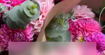 Concours Gagnez un magnifique bouquet de dahlias et d’eucalyptus!
