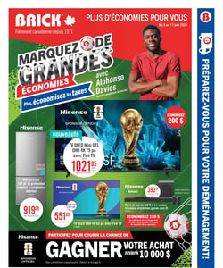 Circulaire Brick