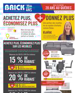Circulaire Brick