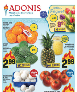Circulaire Adonis