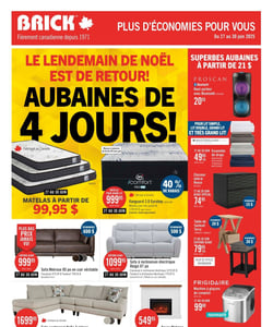 Circulaire Brick