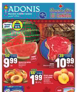 Circulaire Adonis