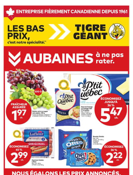 Circulaire Tigre Géant