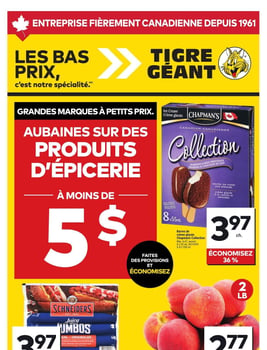 Circulaire Tigre Géant