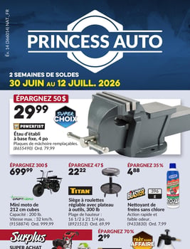Circulaire Princess Auto