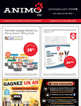 Circulaire Animo etc