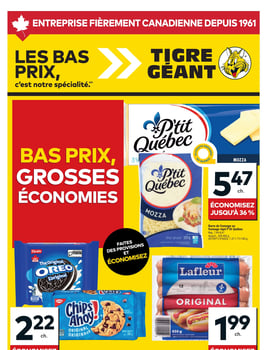Circulaire Tigre Géant