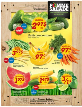 Circulaire Pomme Salade