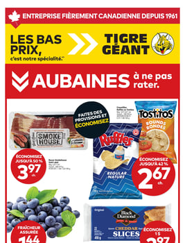 Circulaire Tigre Géant