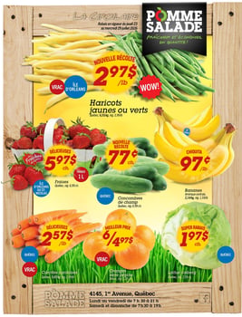 Circulaire Pomme Salade
